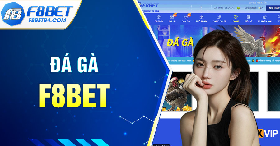 Đá Gà F8BET - Sân Chơi Uy Tín Được Nhiều Cược Thủ Tham Gia